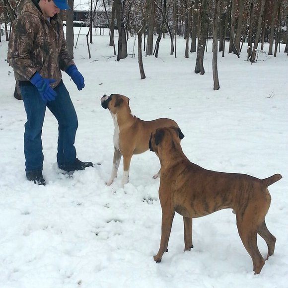 Meet your Posher, Traci - Picture 3 of 3